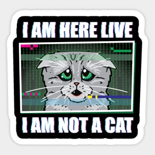 I AM HERE LIVE I AM NOT A CAT - Funny Lawyer Cat Video Call Meme Sticker